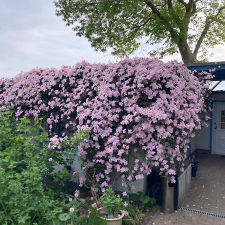 Ahoi Marie Lejlighed Middelhagen Eksteriør billede